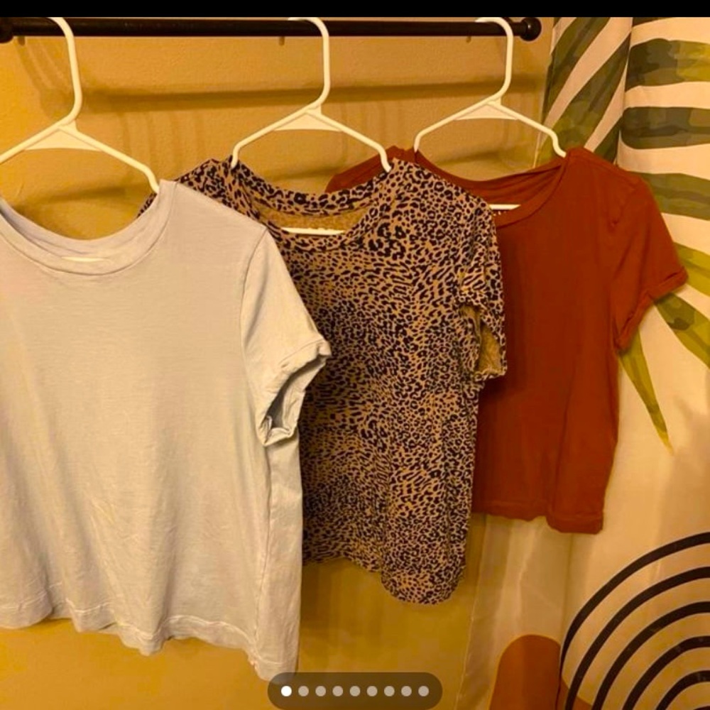 Set of Three Loft T-Shirts - Light Blue, Leopard Print, Rust